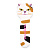 Solomeya #400/3000 /Kitty Shiner Cat 2