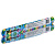 Solomeya File Fish 2307