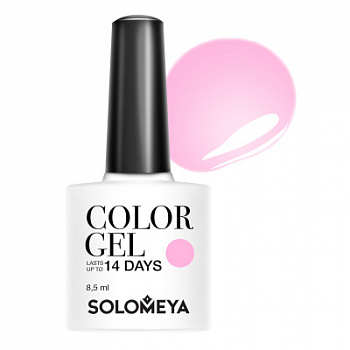 Solomeya Color Gel Wet Stone 99 99